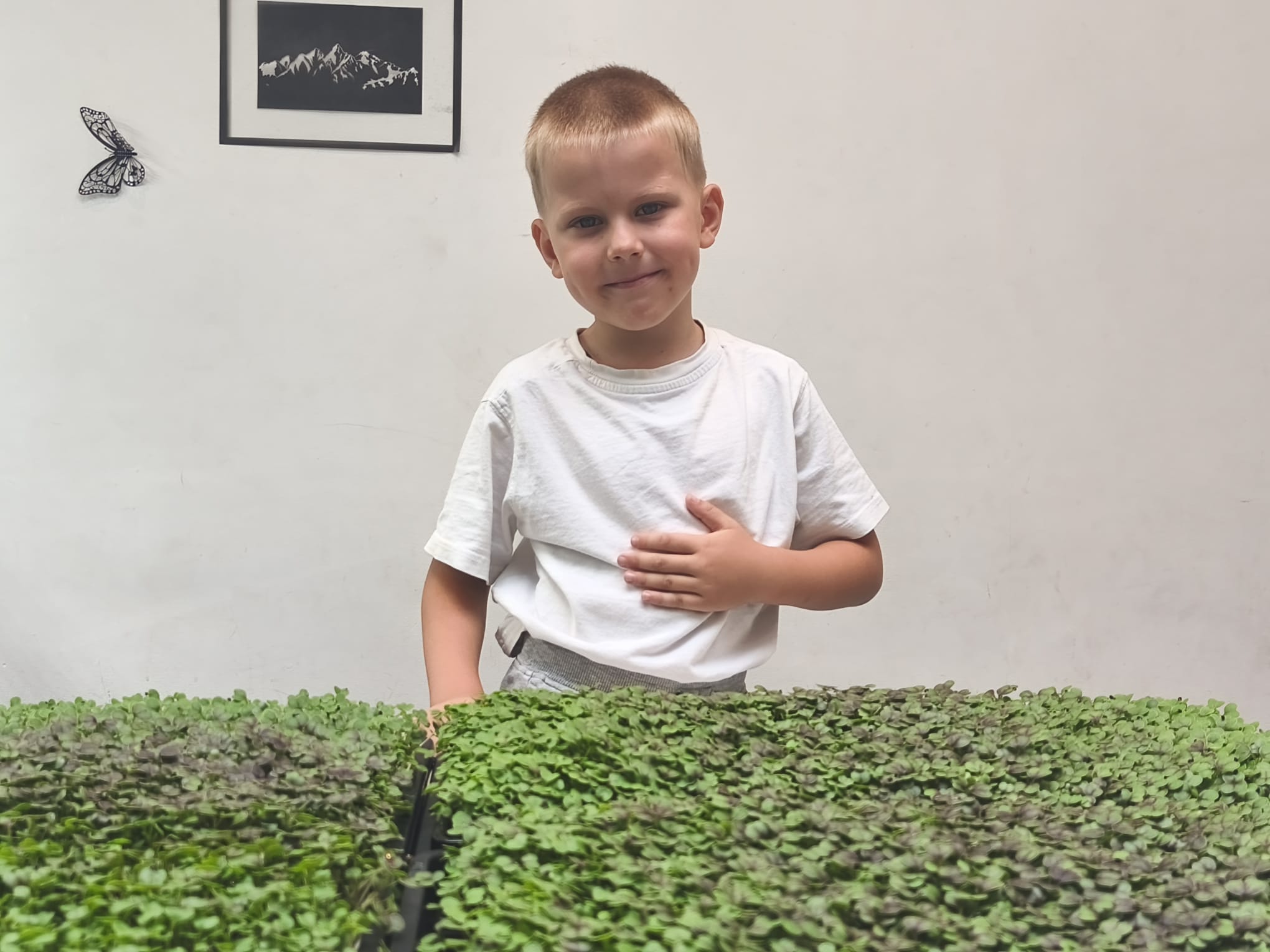 Our family harvesting microgreens