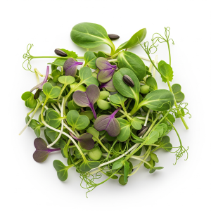 House Mix microgreens — Sprout & Glory, Norwich